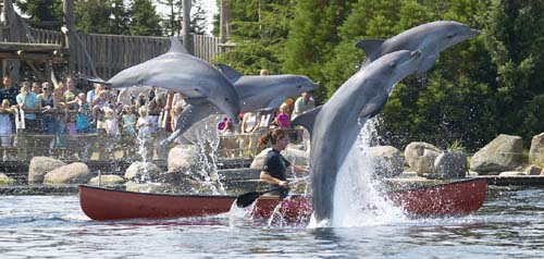 Delfinarium Harderwijk